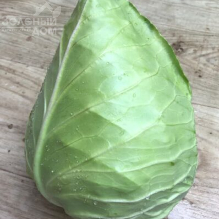 Агро F1 / Agro F1,55-60  днів фото 1