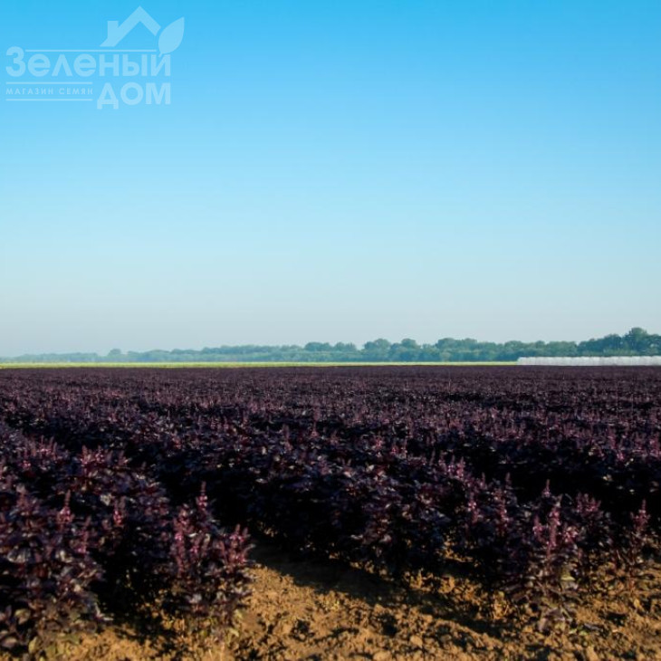 ЛС 2712 / LS 2712 фото 3