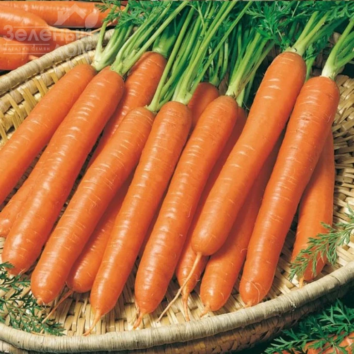 Смирна / Smirna,110-120 дней фото 1