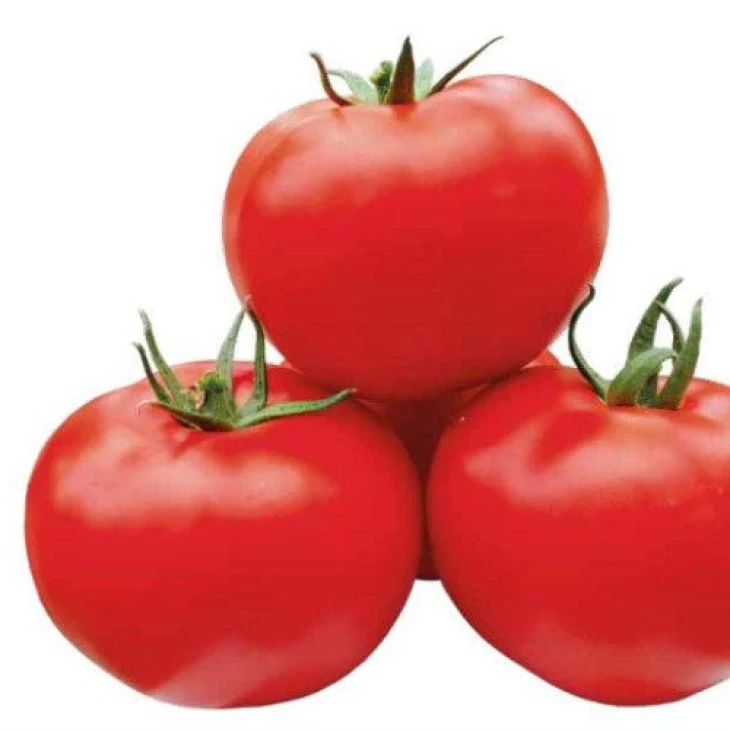 Португальский F1 UG / Portugalskiy F1 UG фото 1