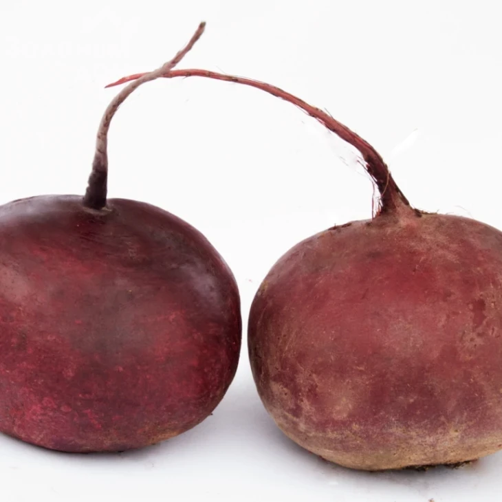 Воевода / Voievoda,110-120 дней фото 1