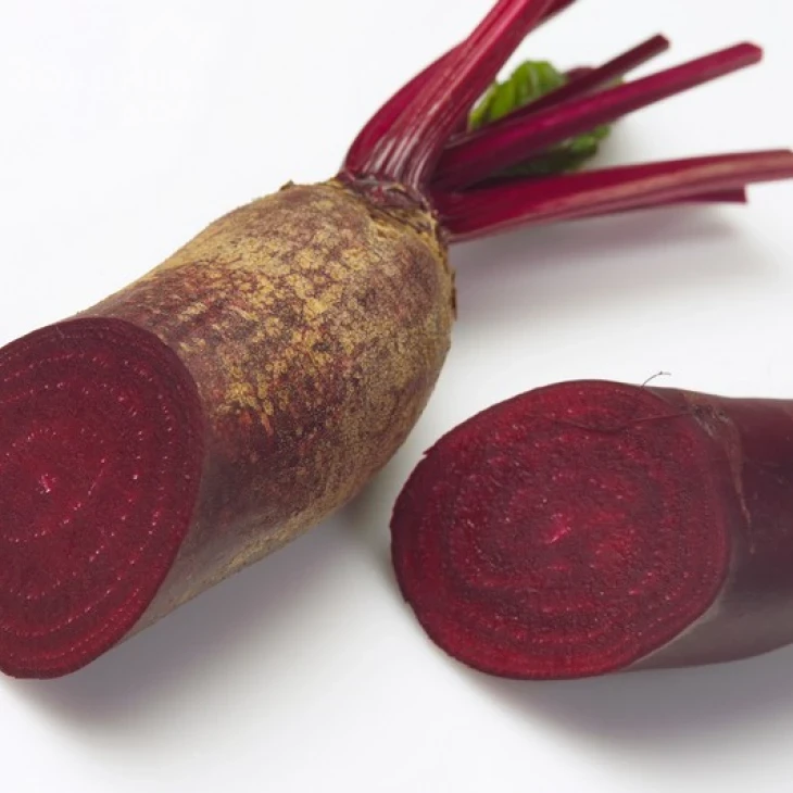 Карилон / Carillon,90 дней фото 1