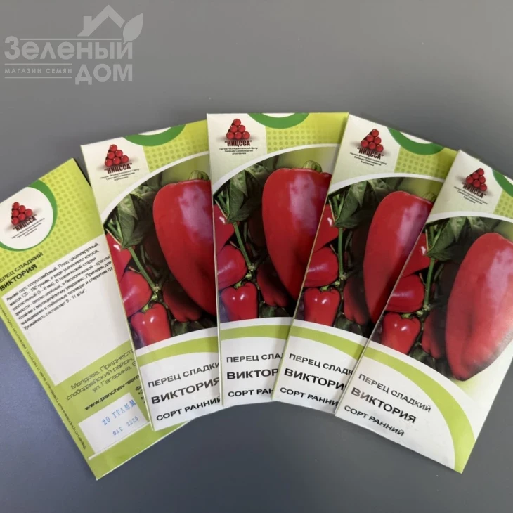 Виктория / Viktoria фото 2