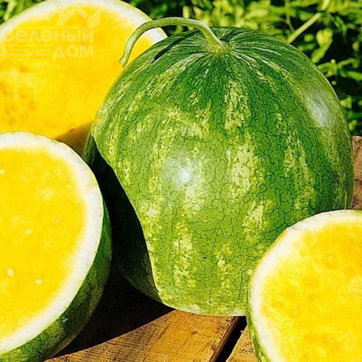 Прімаголд F1 / Primagold F1 фото 1