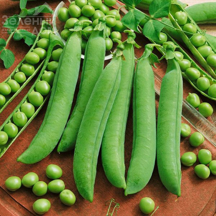 Авола / Avola фото 1