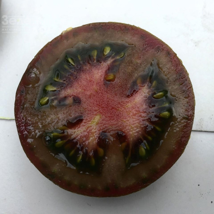 Мавр F1 / Mavr F1,110 днів фото 2