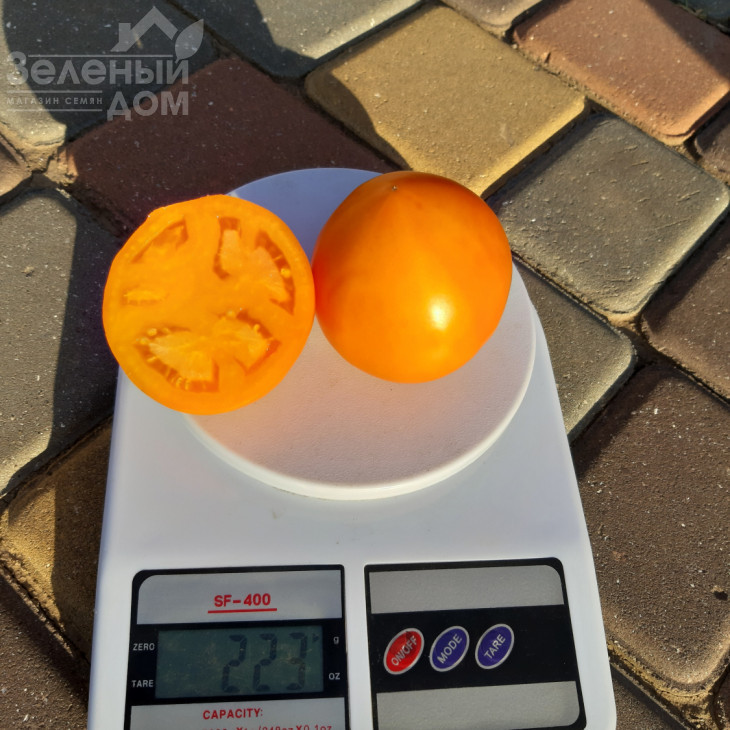 Рані F1 / Rani F1, 62-65 днів фото 2