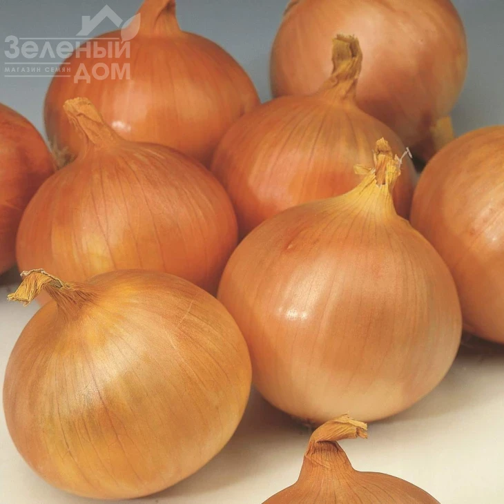 Тареско F1 / Taresko F1,120 дней фото 1