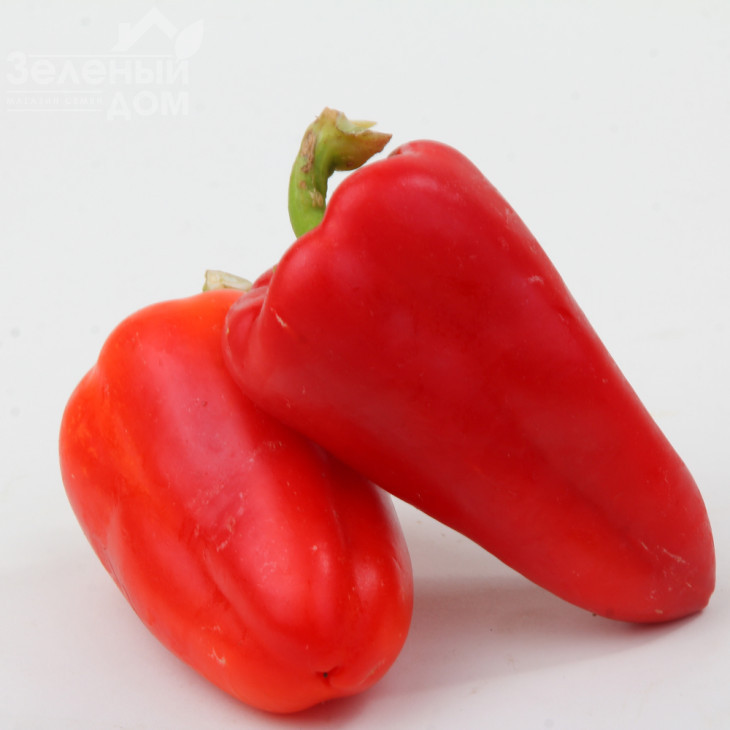 Біла Зірка / Bila Zirka,105-110 днів фото 1