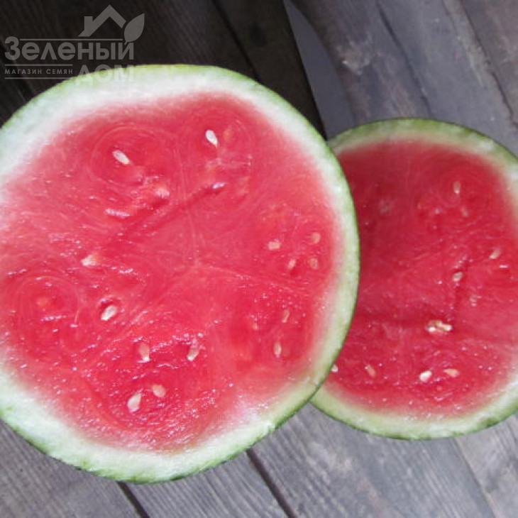 ЛС 1802 F1 / LS 1802 F1 фото 3