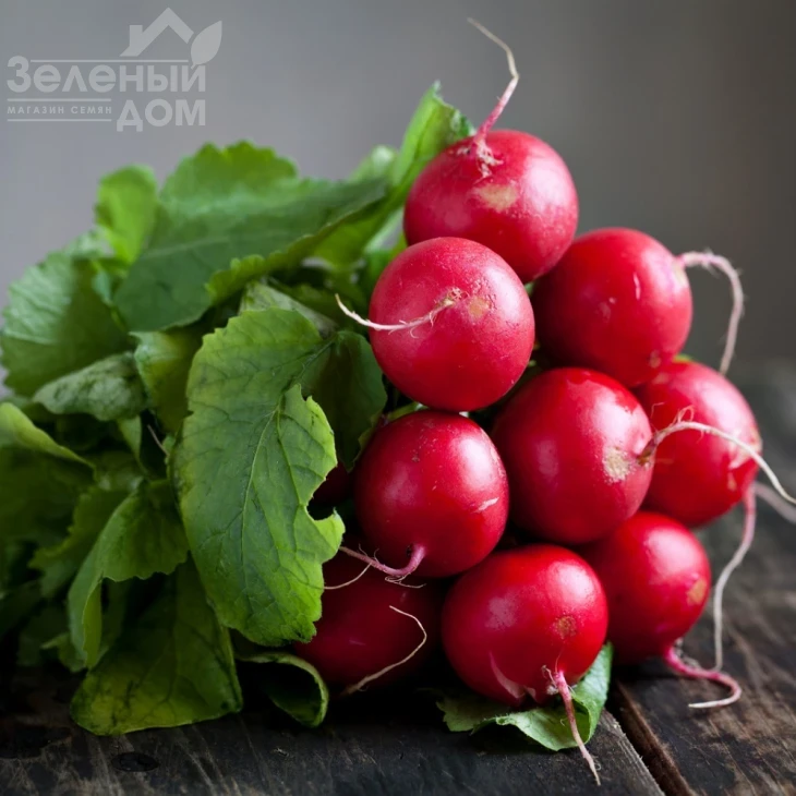 Исис F1 / Isis F1 фото 1