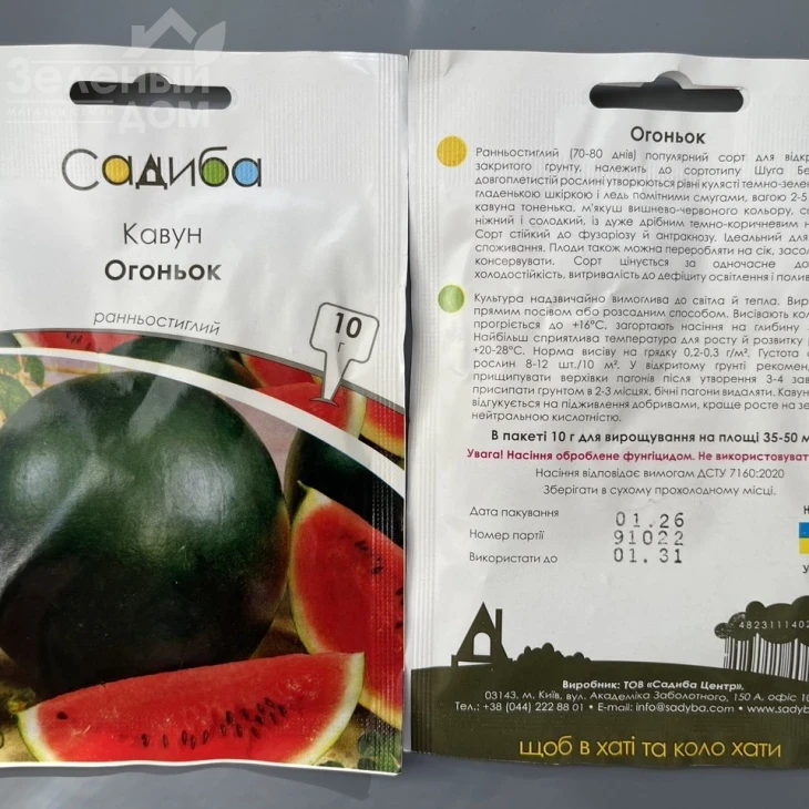 Огонек / Ogonek, 70-80 дней фото 1