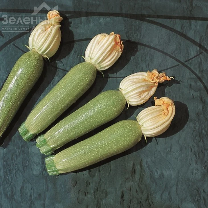 Алия F1 / Alija F1,40-45 дней фото 3