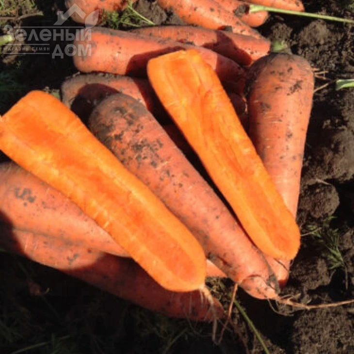 Титан F1 / Titan F1,90 дней фото 7