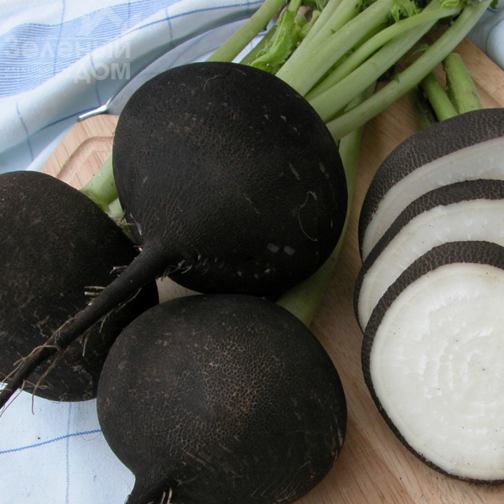 Кулата / Kulata,110-115 днів фото 1