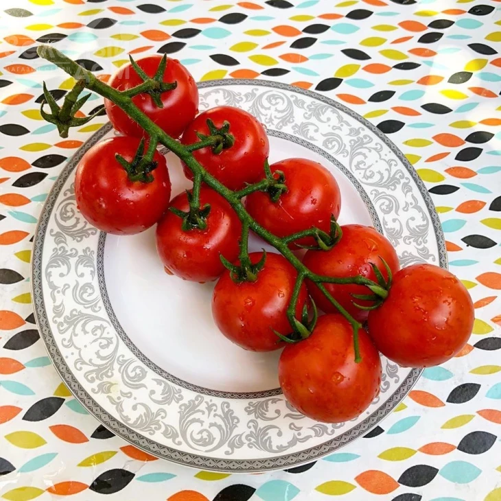 Блейз F1 (1617) / Bleyz F1 (1617) ,95 дней фото 4