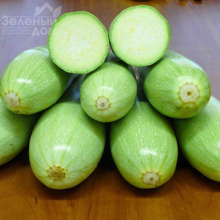 Муфаса F1 / Mufasa F1,45-48 днів фото 2