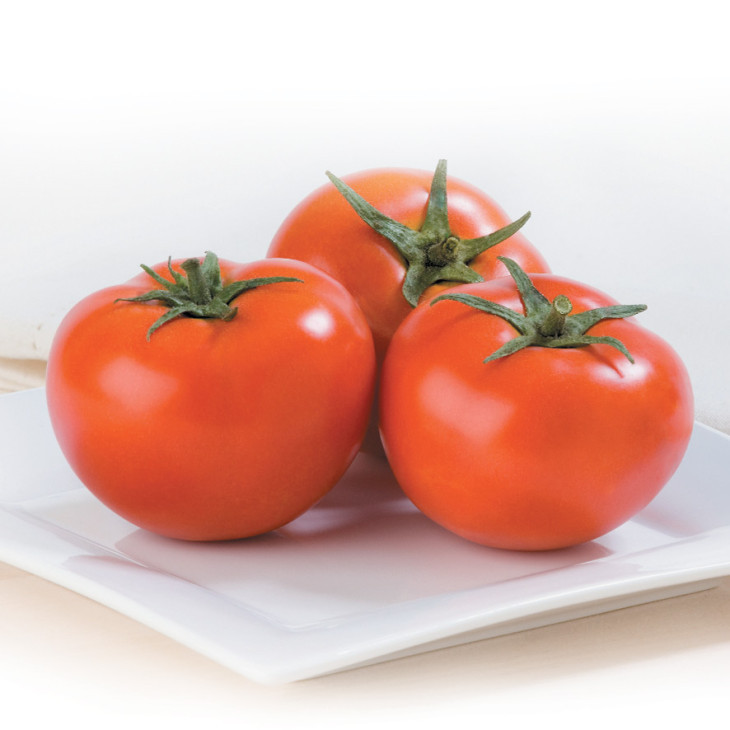 Т-97082 (Квалітет F1) / Т-97082 (Qualitet F1), 65-70 днів фото 1