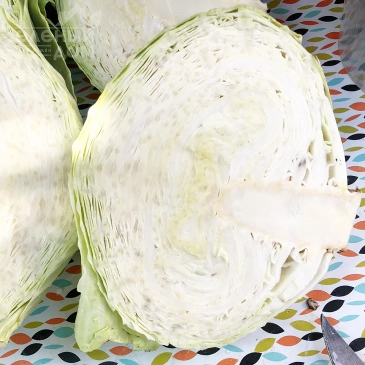 Фанси F1 / Fansi F1,85 дней фото 2