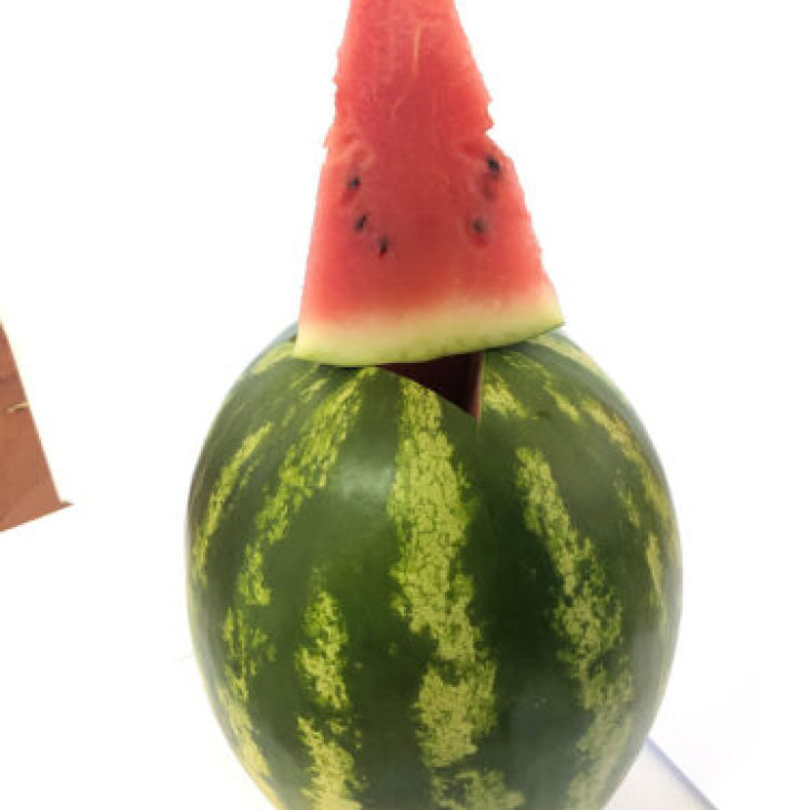 Дата F1 / Data F1, 70-73 дні фото 2