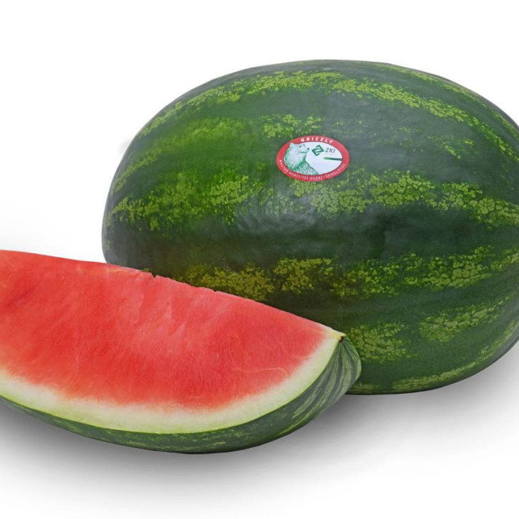 Гріззлі F1 / Grizzly F1, 70-75 днів фото 2