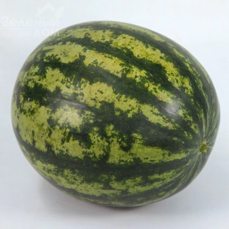 КС 633 F1 / KS 633 F1, 65-68 дней фото 1