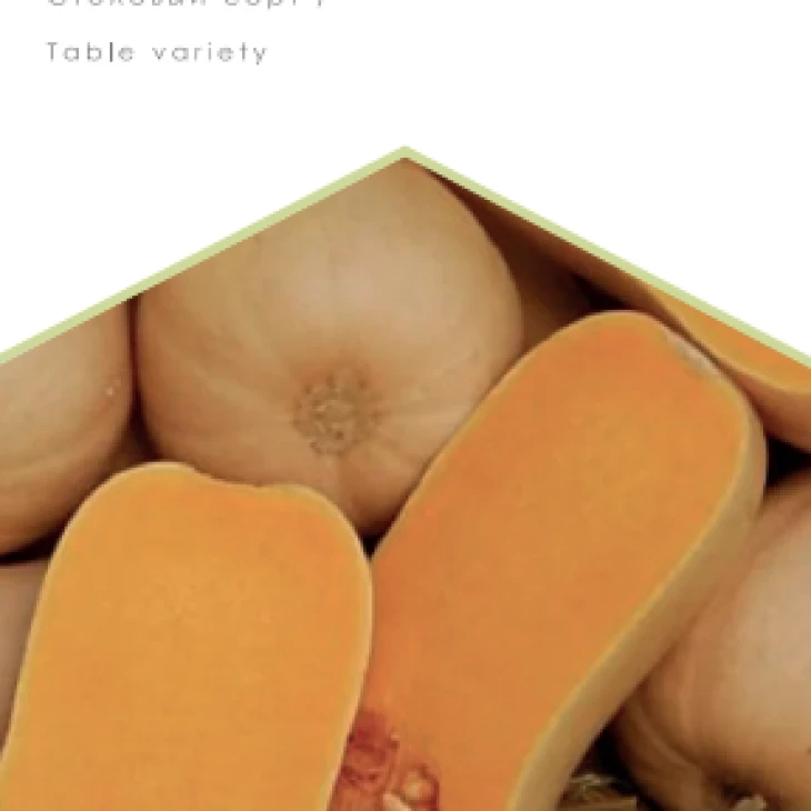 Мускатная / Muskatnaya фото 1