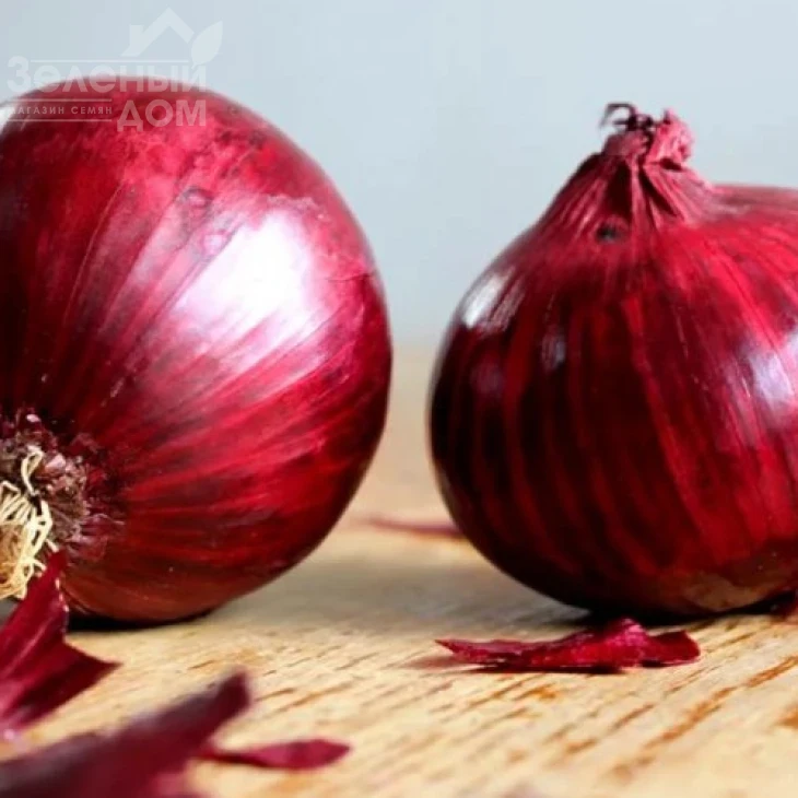 Кармен / Karmen,120 дней фото 1