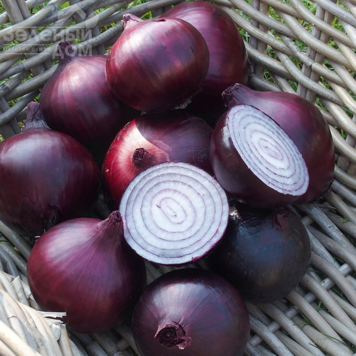 Магнате F1 / Magnate F1,115-120 днів фото 2