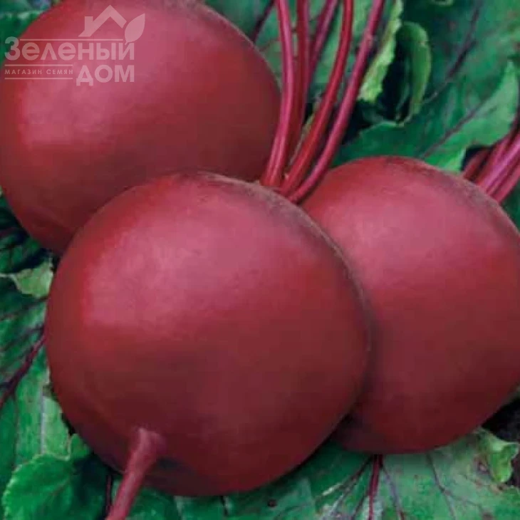 Бикорес / Bikores фото 1