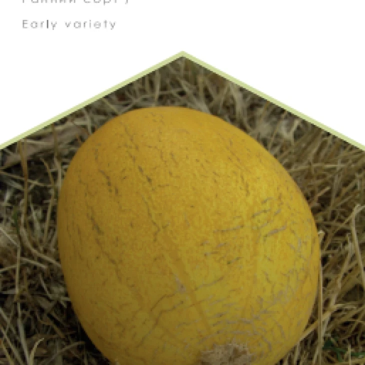 Приднестровская / Pridnestrovskaya фото 1