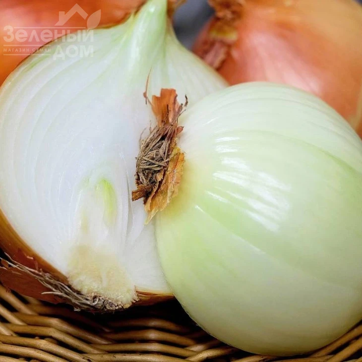 Рино F1 / Rino F1,115-120 дней фото 1