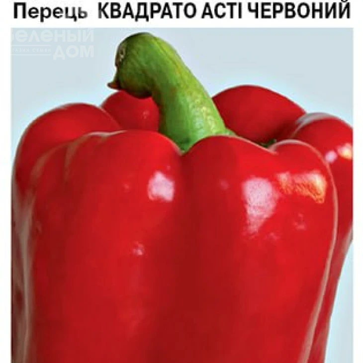 Квадрато Асти красный / Kvadrato Asti, 95 дней фото 1