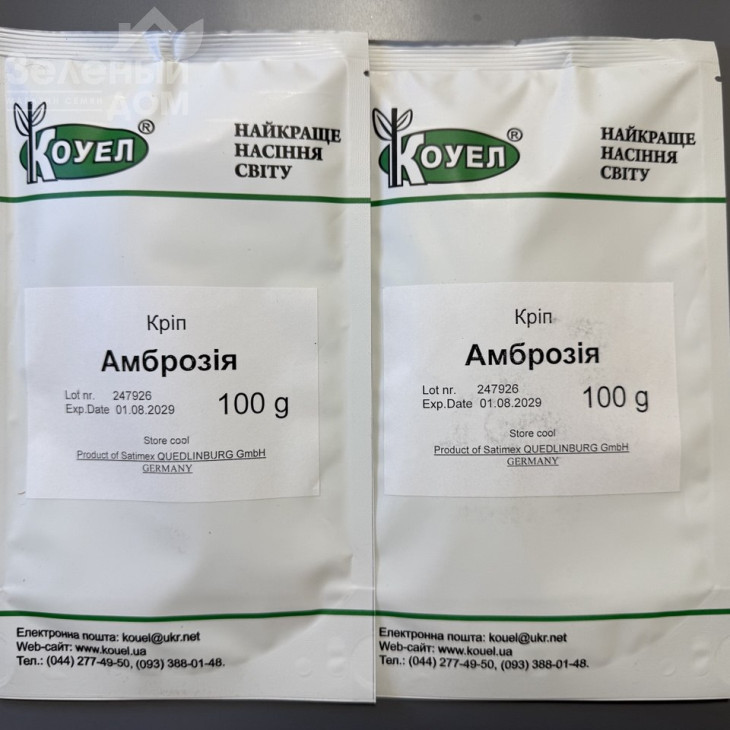 Амброзія / Ambrosia фото 2