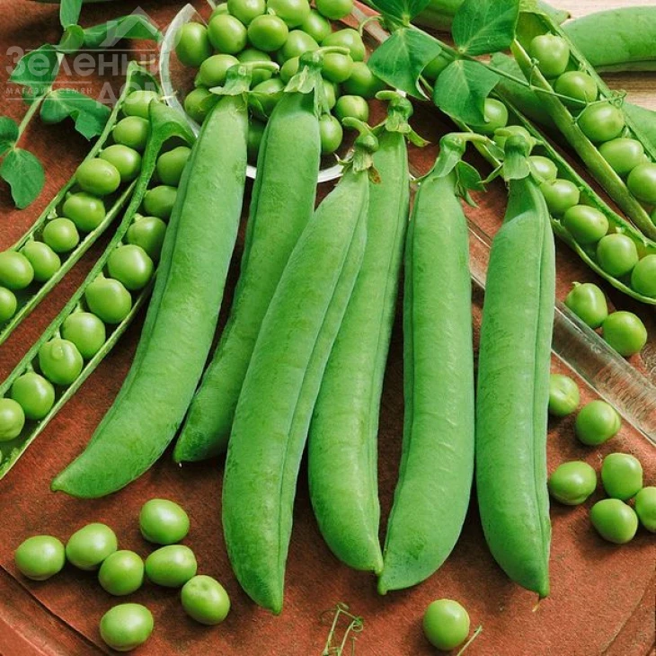 Авола / Avola фото 1