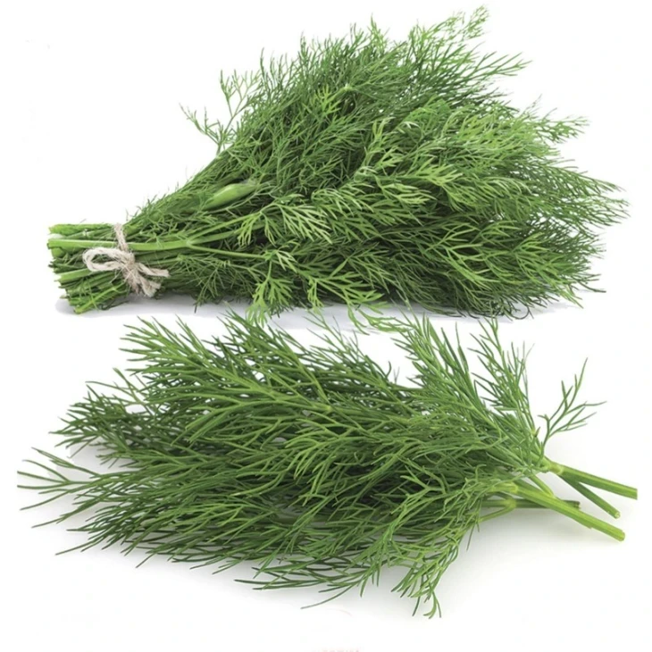 Компакт / Compact фото 1