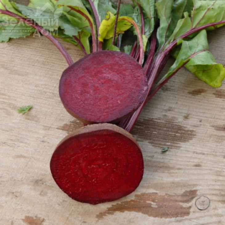 Гарольд / Garold,65-70 дней фото 1