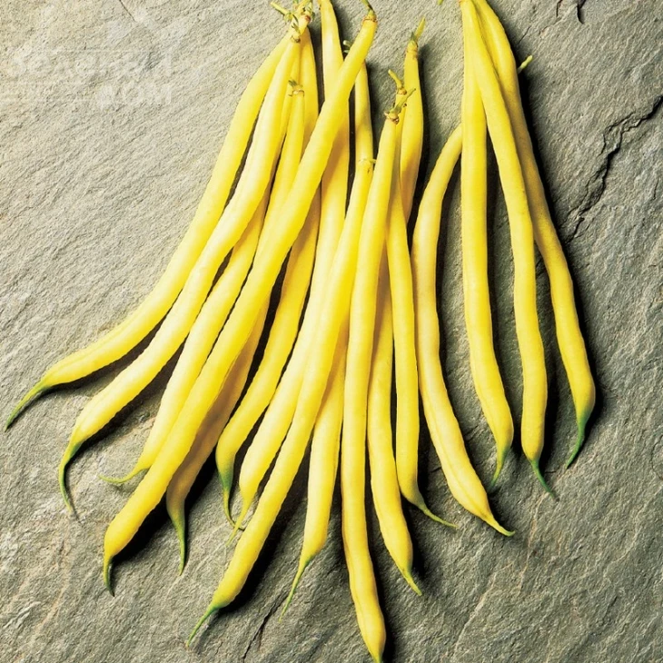 Фруидор / Fruidor фото 1