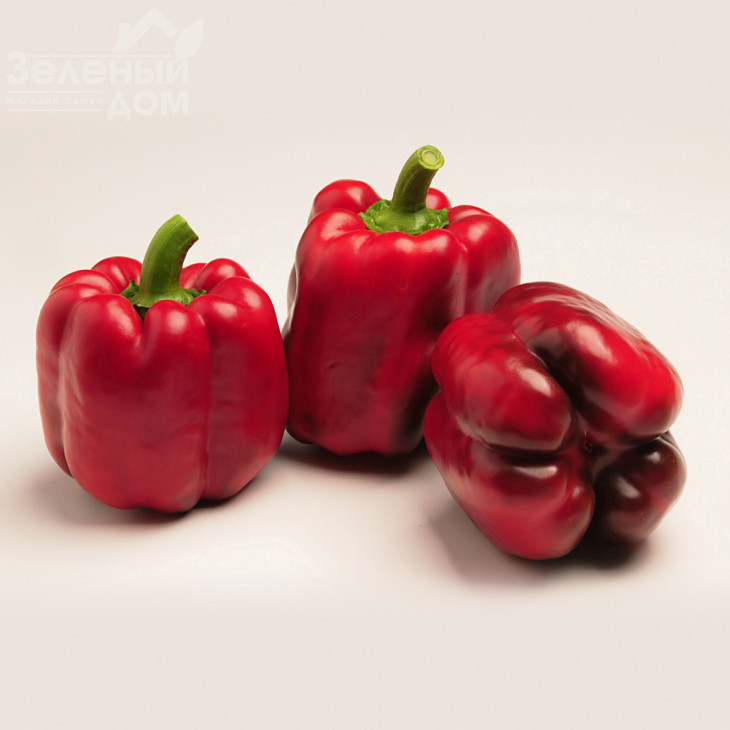 Крузадер F1 / Cruzader F1,65 днів фото 3