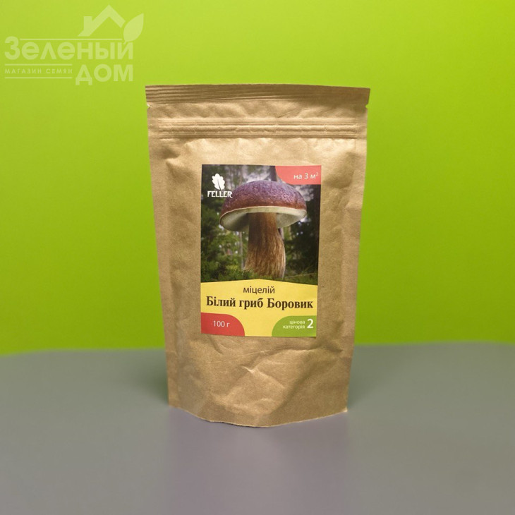 Білий гриб Боровик фото 1