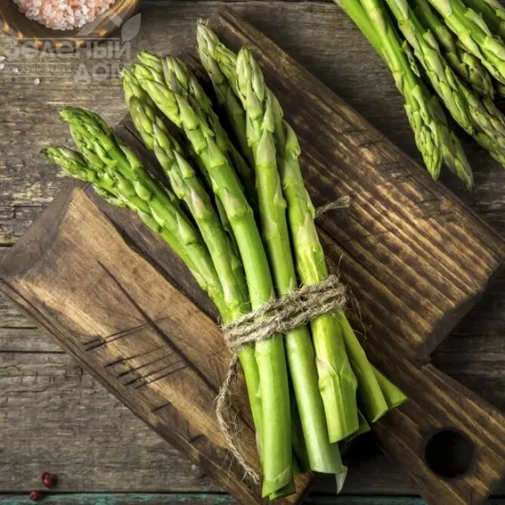 Аспарагус UG 157 F1 / Asparagus UG 157 F1 фото 1