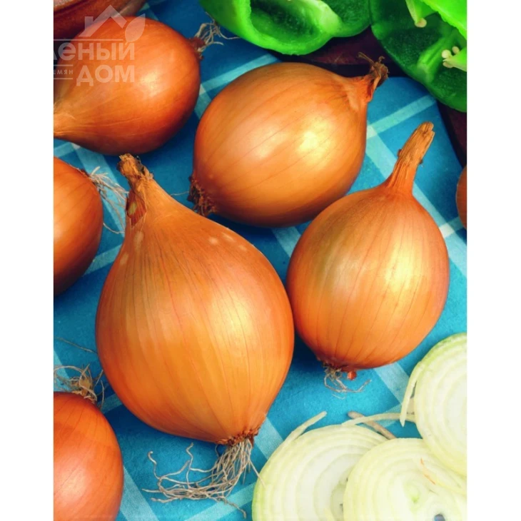 Вшетана / Vshetana фото 1