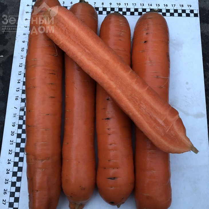 Ніндзя F1 / Ninja F1, 105 днів фото 1