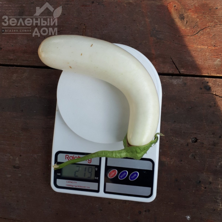 Вайтмен F1 (INX 1644) / Whiteman F1 (INX1644) фото 4