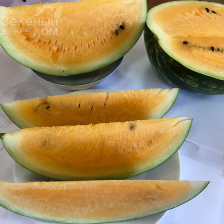 Оранж Лакшері F1 / Orange Luxury F1, 70-73 дні фото 1