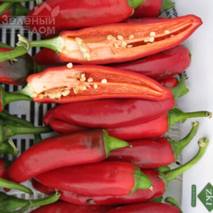 Хірош F1 / Hirosh F1,50 днів фото 4