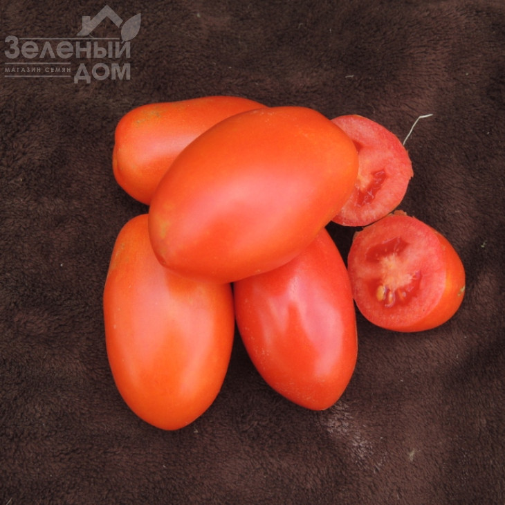 Сан Парадайс F1 / Sun Paradise F1, 110-115 днів фото 3