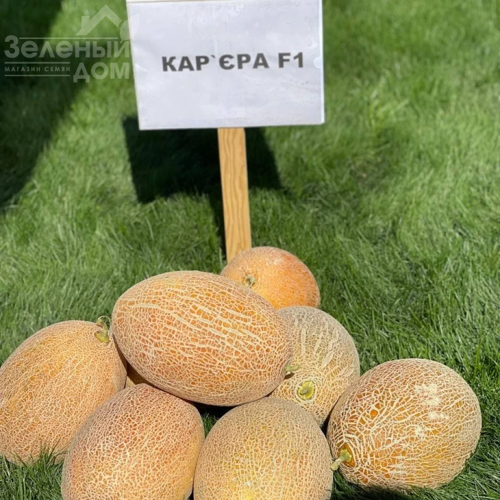 Кар'єра F1 / Career F1 фото 7