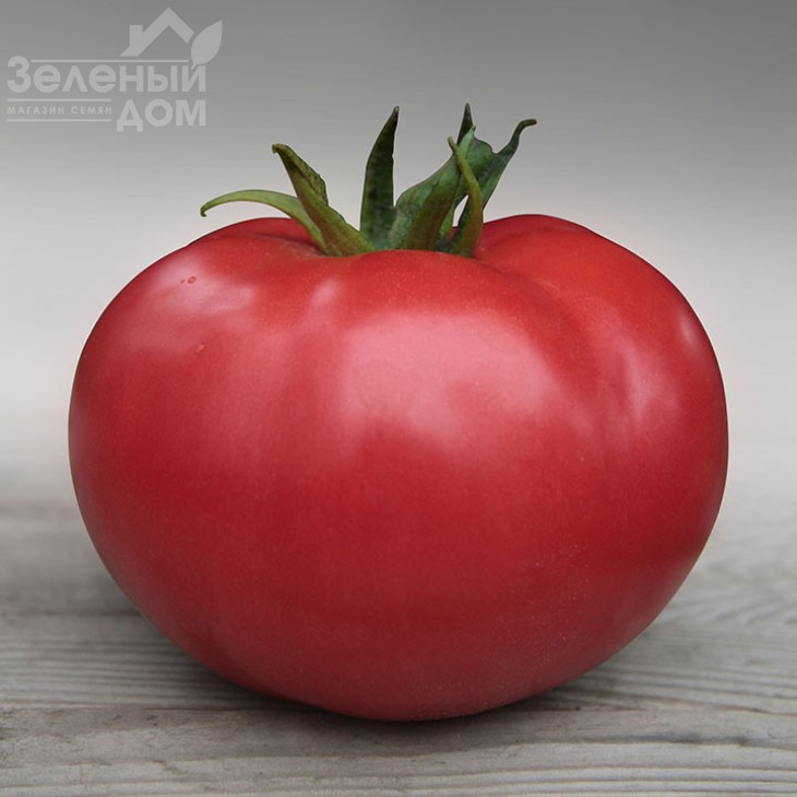 Кібо F1 / Kibo F1,105-115 днів фото 1