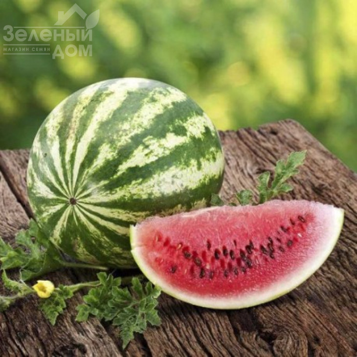 АУ Продюссер / AU Producer, 75 днів фото 1